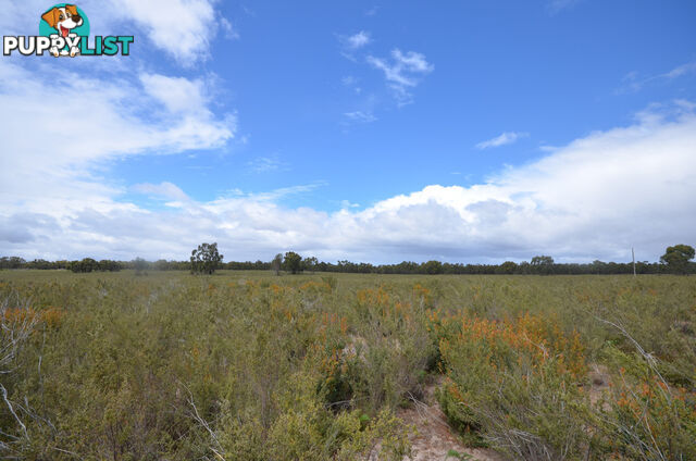 Lot 40 Scrubby Lake Road EDENHOPE VIC 3318