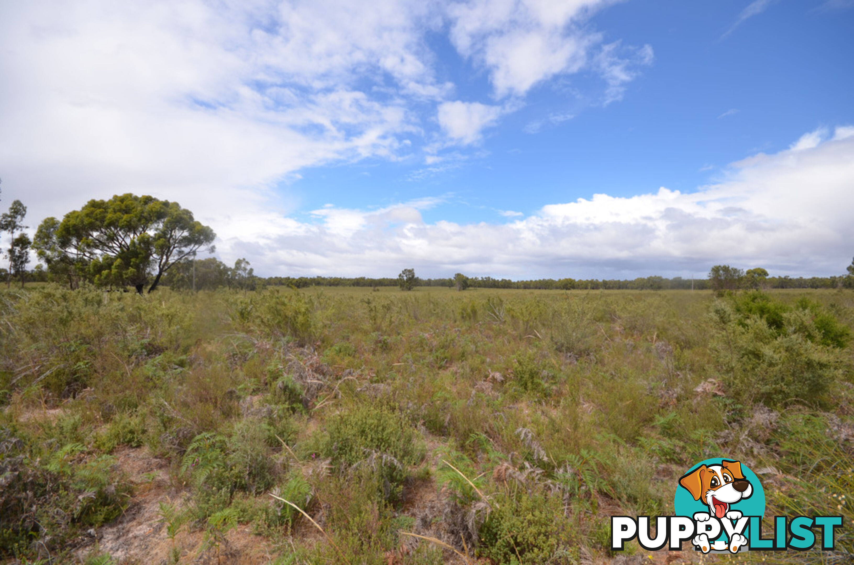 Lot 40 Scrubby Lake Road EDENHOPE VIC 3318