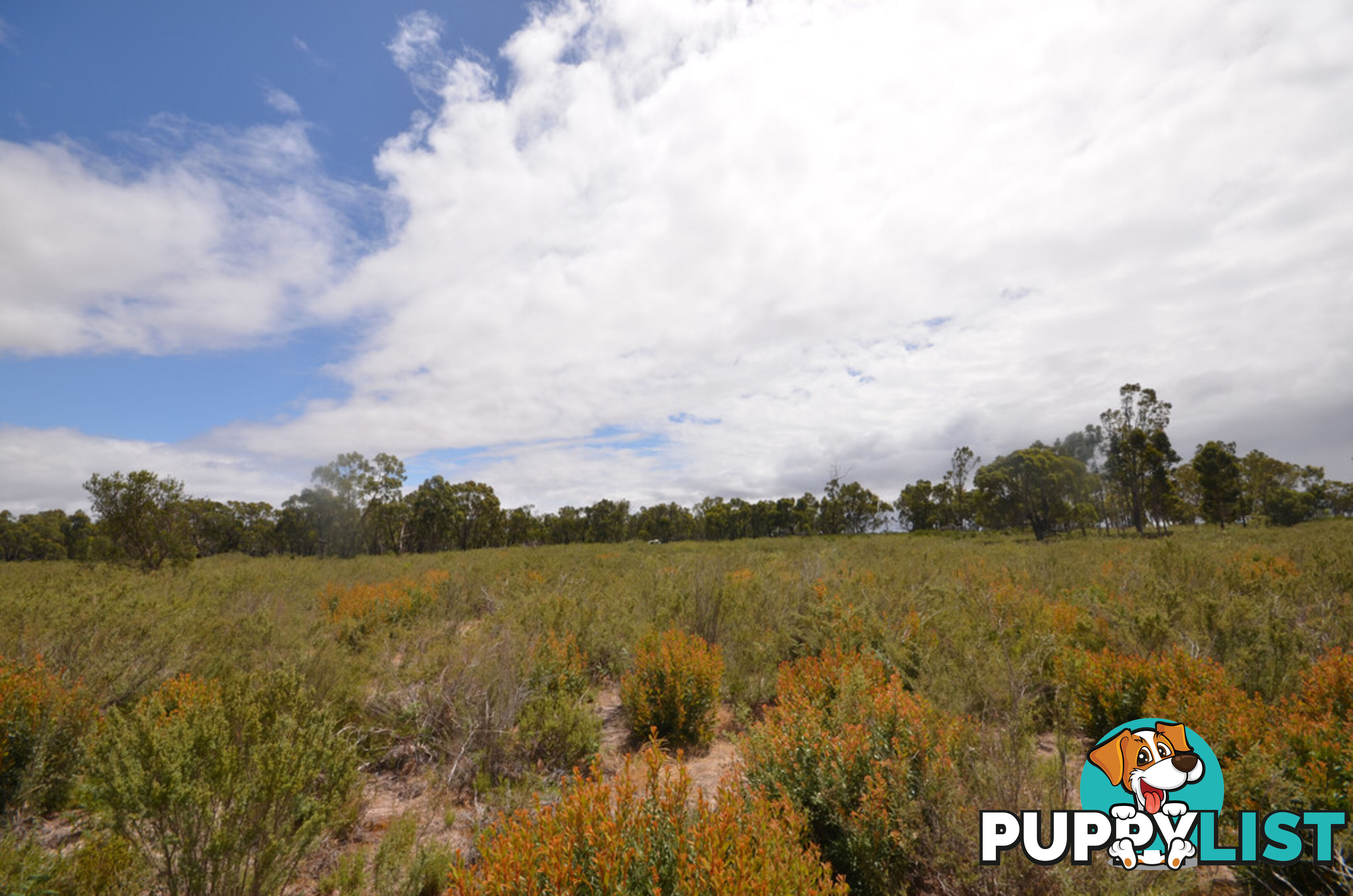 Lot 40 Scrubby Lake Road EDENHOPE VIC 3318