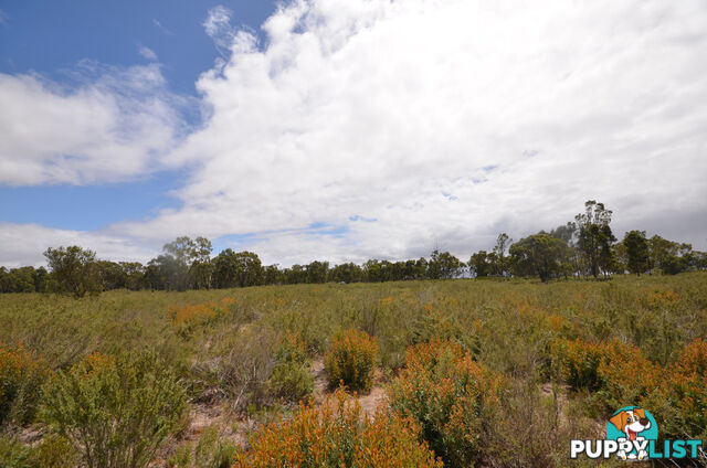 Lot 40 Scrubby Lake Road EDENHOPE VIC 3318