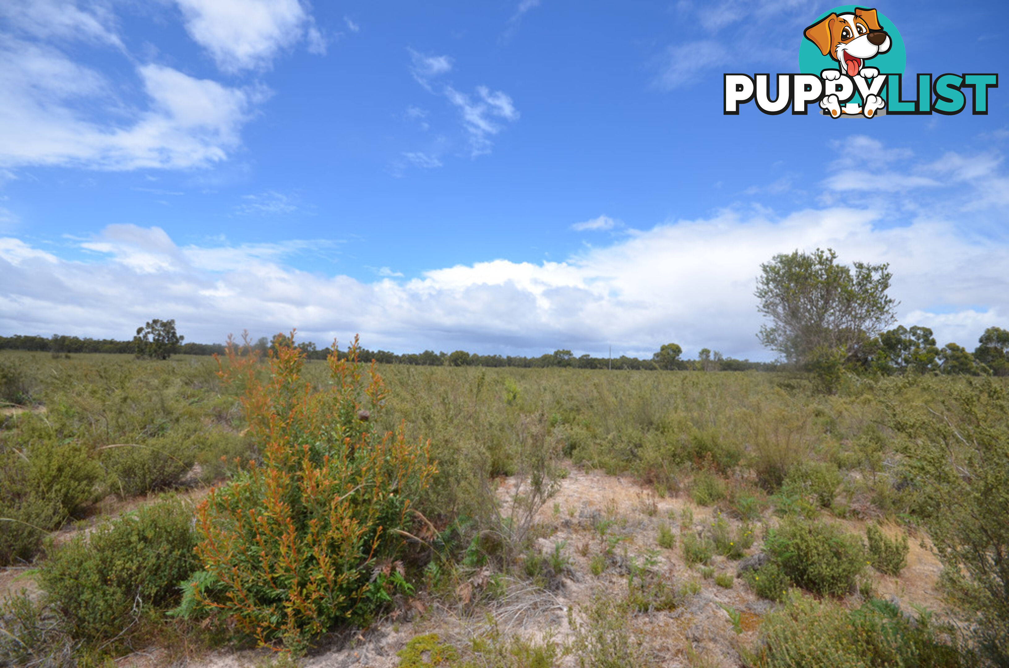 Lot 40 Scrubby Lake Road EDENHOPE VIC 3318