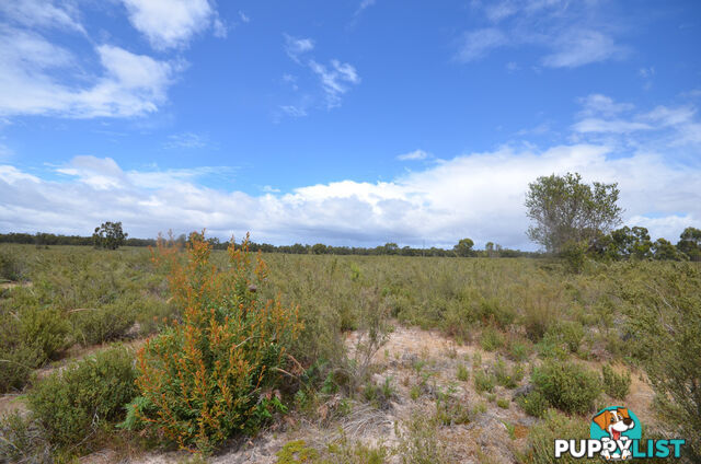 Lot 40 Scrubby Lake Road EDENHOPE VIC 3318