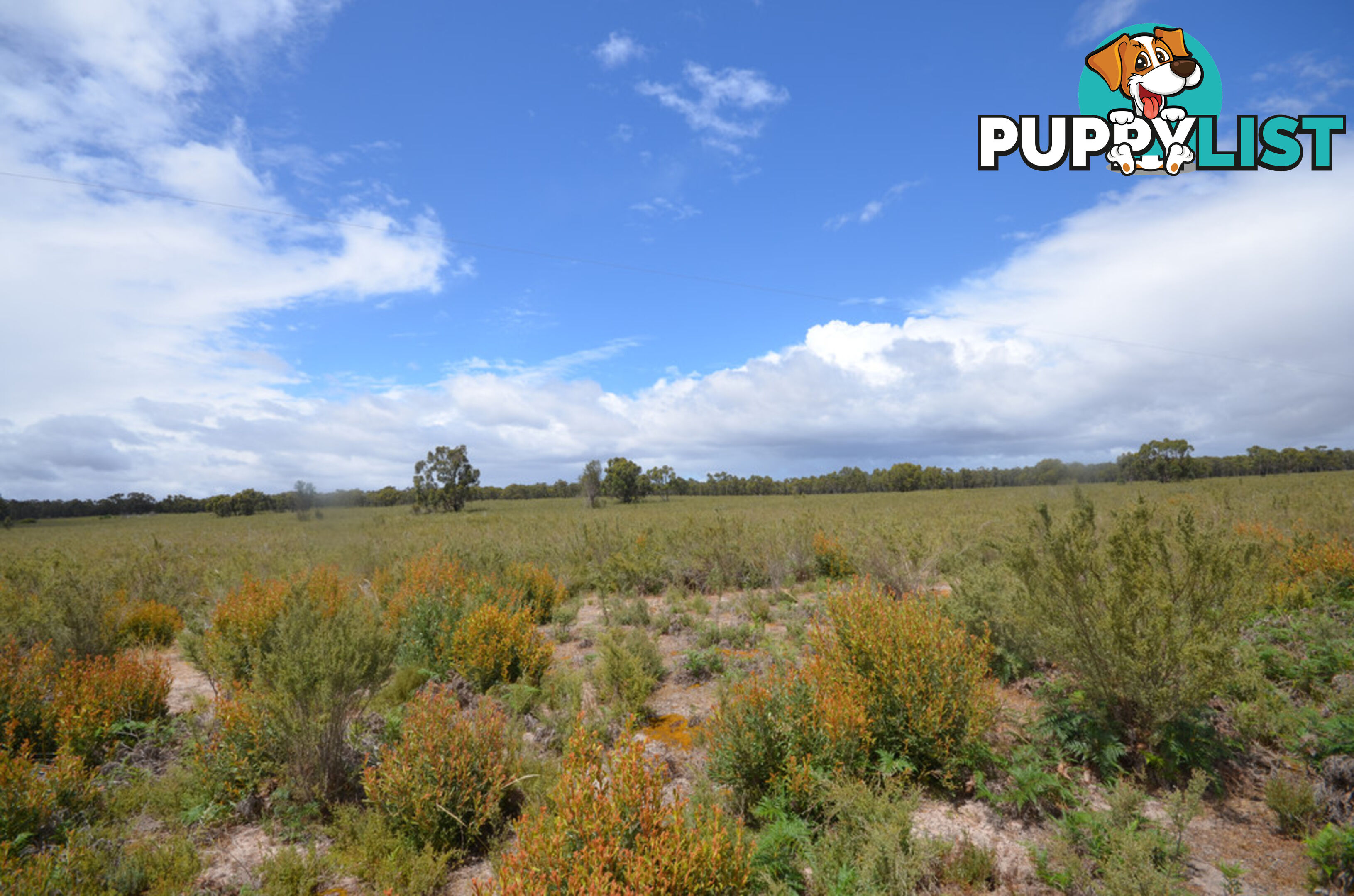 Lot 40 Scrubby Lake Road EDENHOPE VIC 3318