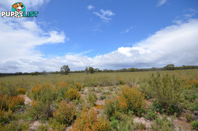 Lot 40 Scrubby Lake Road EDENHOPE VIC 3318