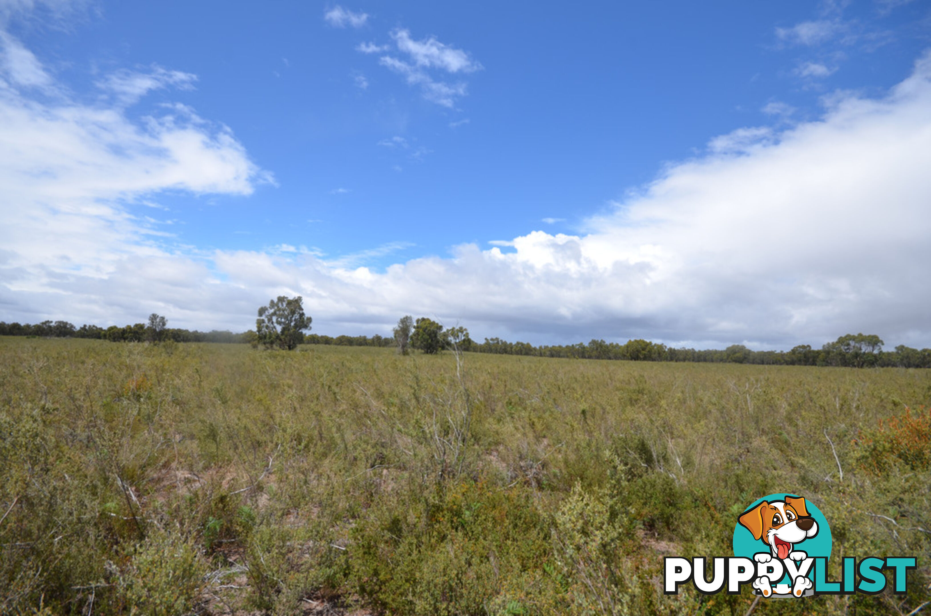 Lot 40 Scrubby Lake Road EDENHOPE VIC 3318