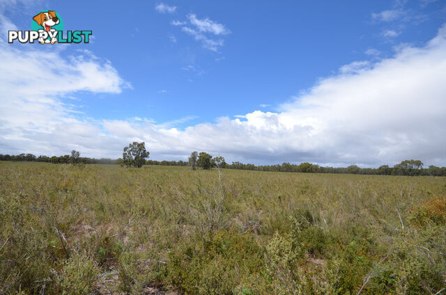 Lot 40 Scrubby Lake Road EDENHOPE VIC 3318