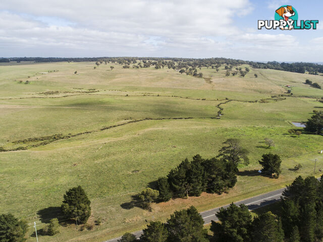 Lot 1 Linton-Carngham Road CARNGHAM VIC 3351