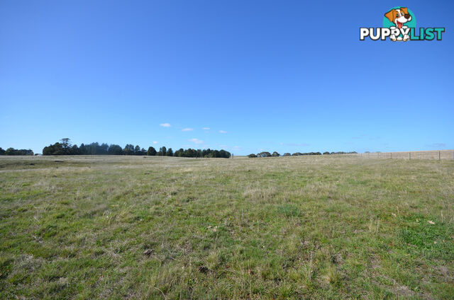 Lot 1 Linton-Carngham Road CARNGHAM VIC 3351