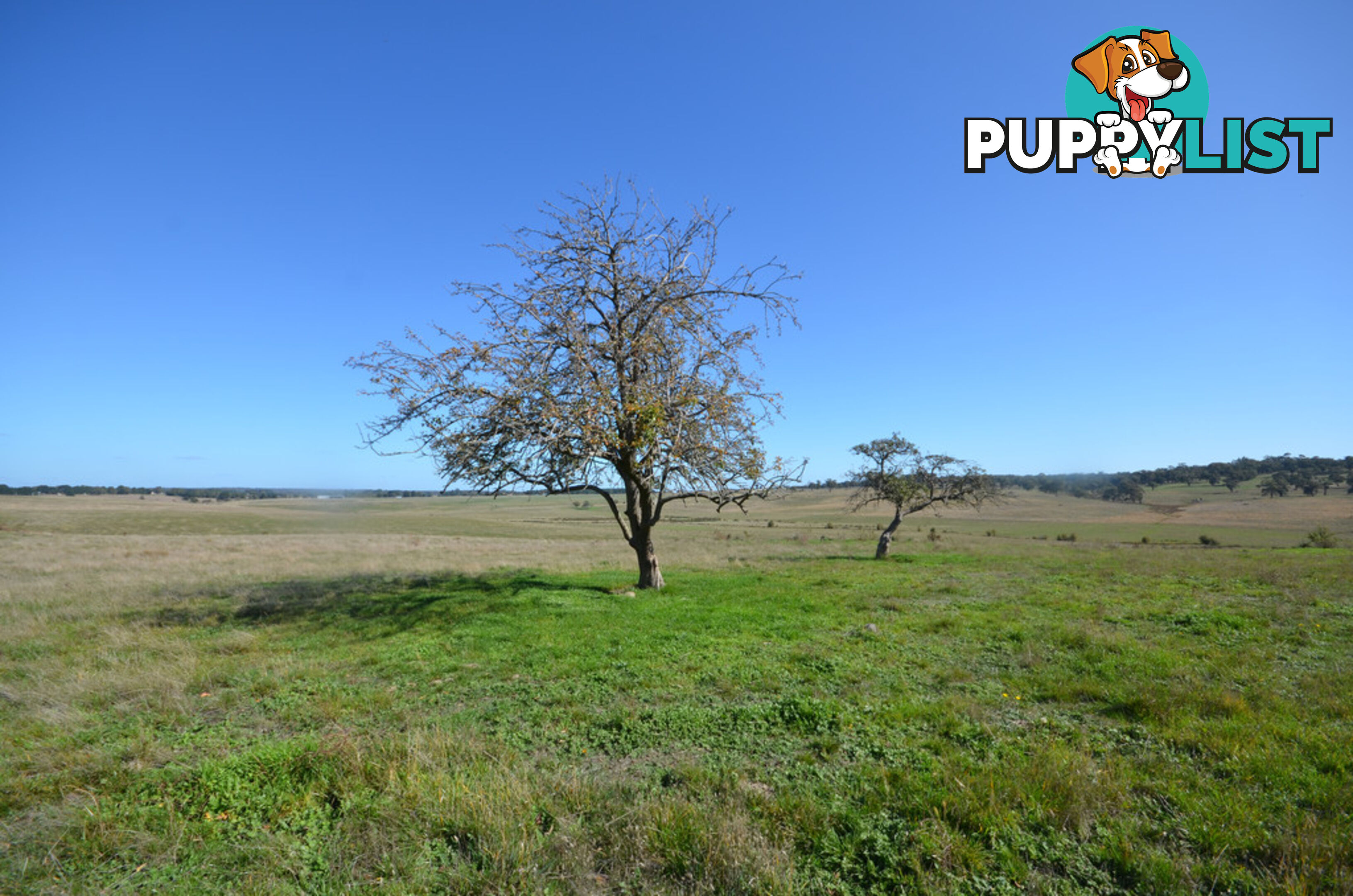 Lot 1 Linton-Carngham Road CARNGHAM VIC 3351