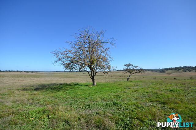 Lot 1 Linton-Carngham Road CARNGHAM VIC 3351
