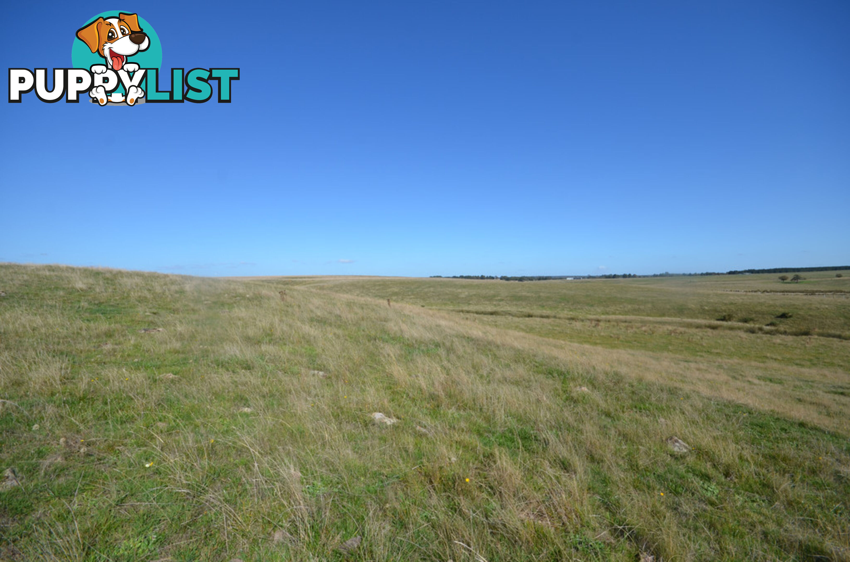 Lot 1 Linton-Carngham Road CARNGHAM VIC 3351