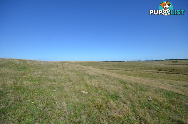 Lot 1 Linton-Carngham Road CARNGHAM VIC 3351