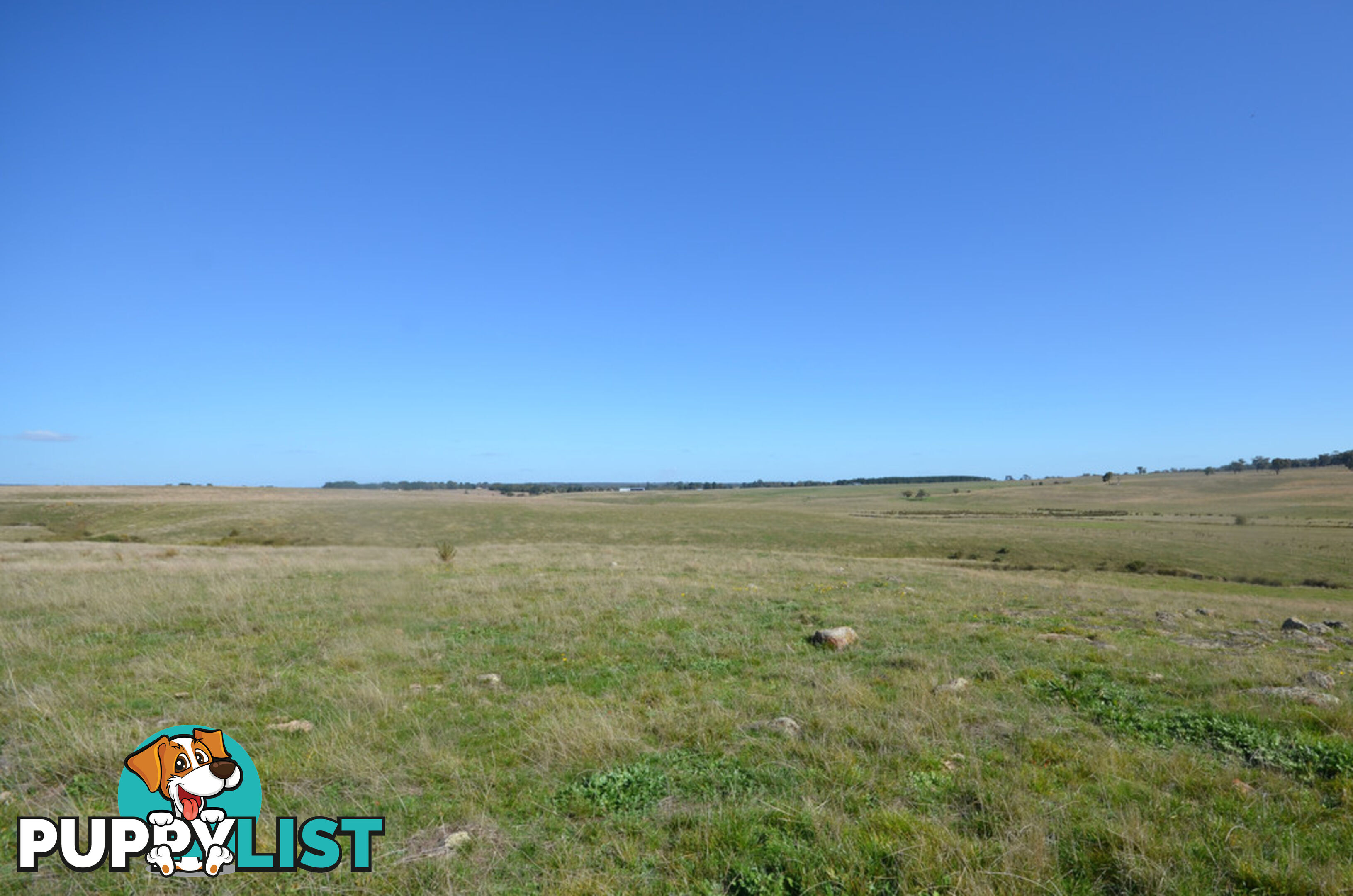 Lot 1 Linton-Carngham Road CARNGHAM VIC 3351
