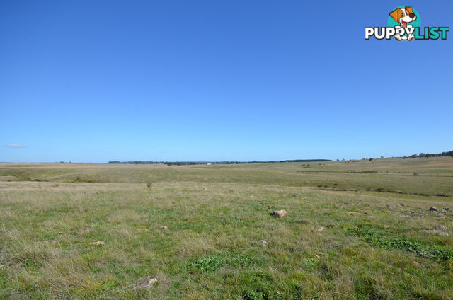Lot 1 Linton-Carngham Road CARNGHAM VIC 3351