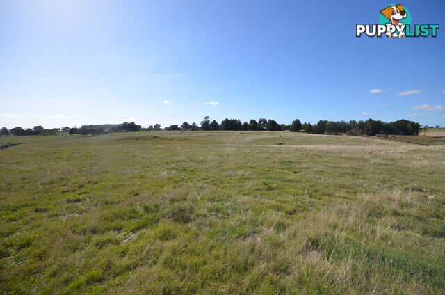 Lot 1 Linton-Carngham Road CARNGHAM VIC 3351
