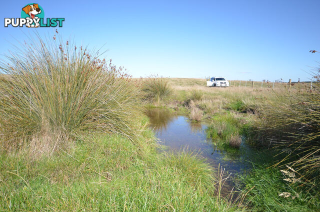 Lot 1 Linton-Carngham Road CARNGHAM VIC 3351