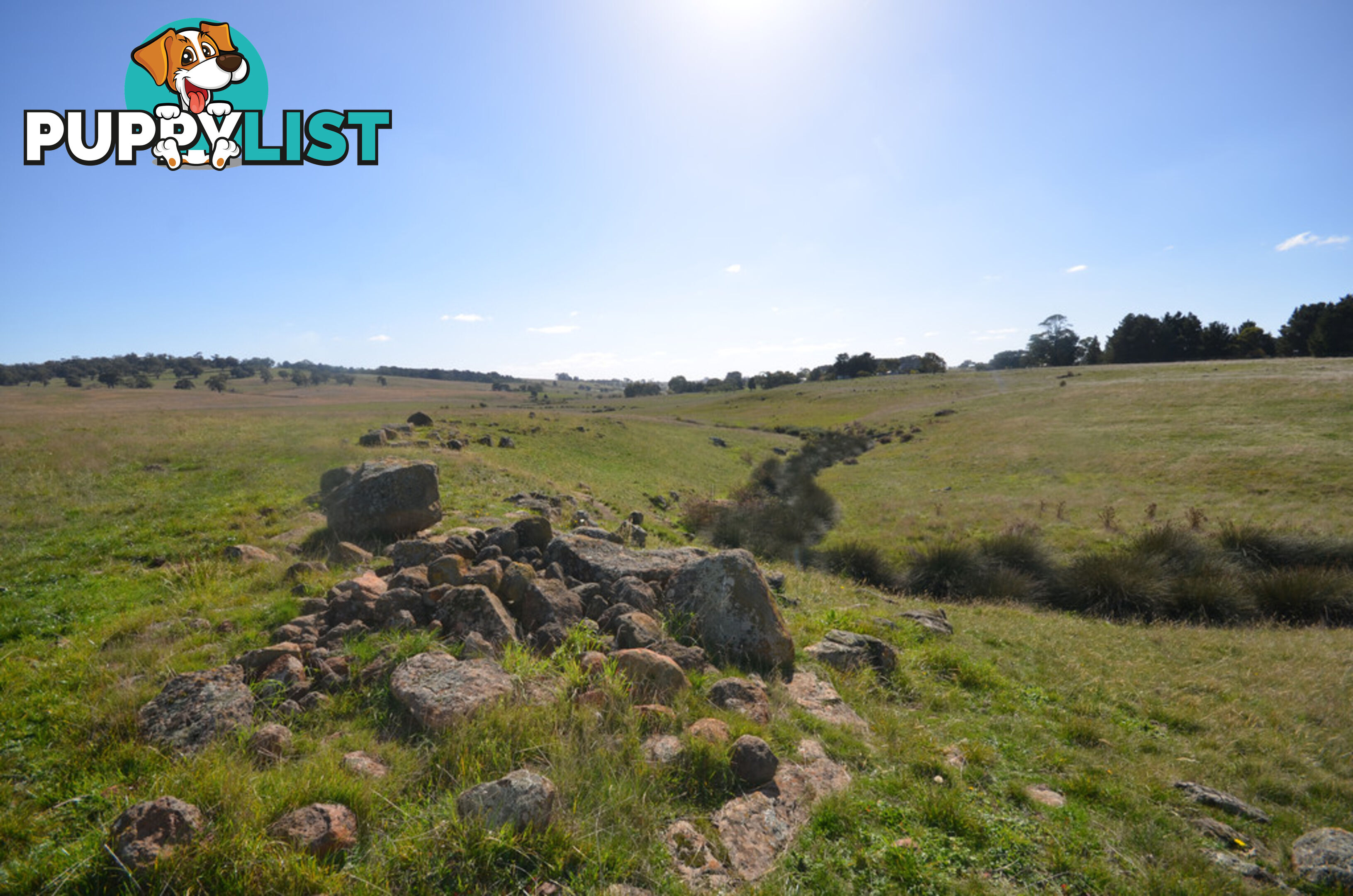 Lot 1 Linton-Carngham Road CARNGHAM VIC 3351