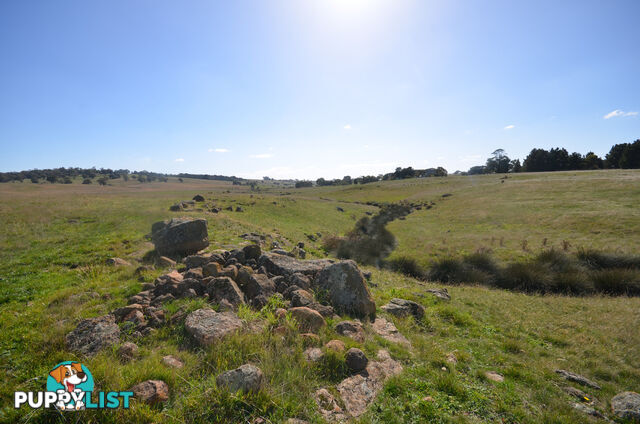 Lot 1 Linton-Carngham Road CARNGHAM VIC 3351