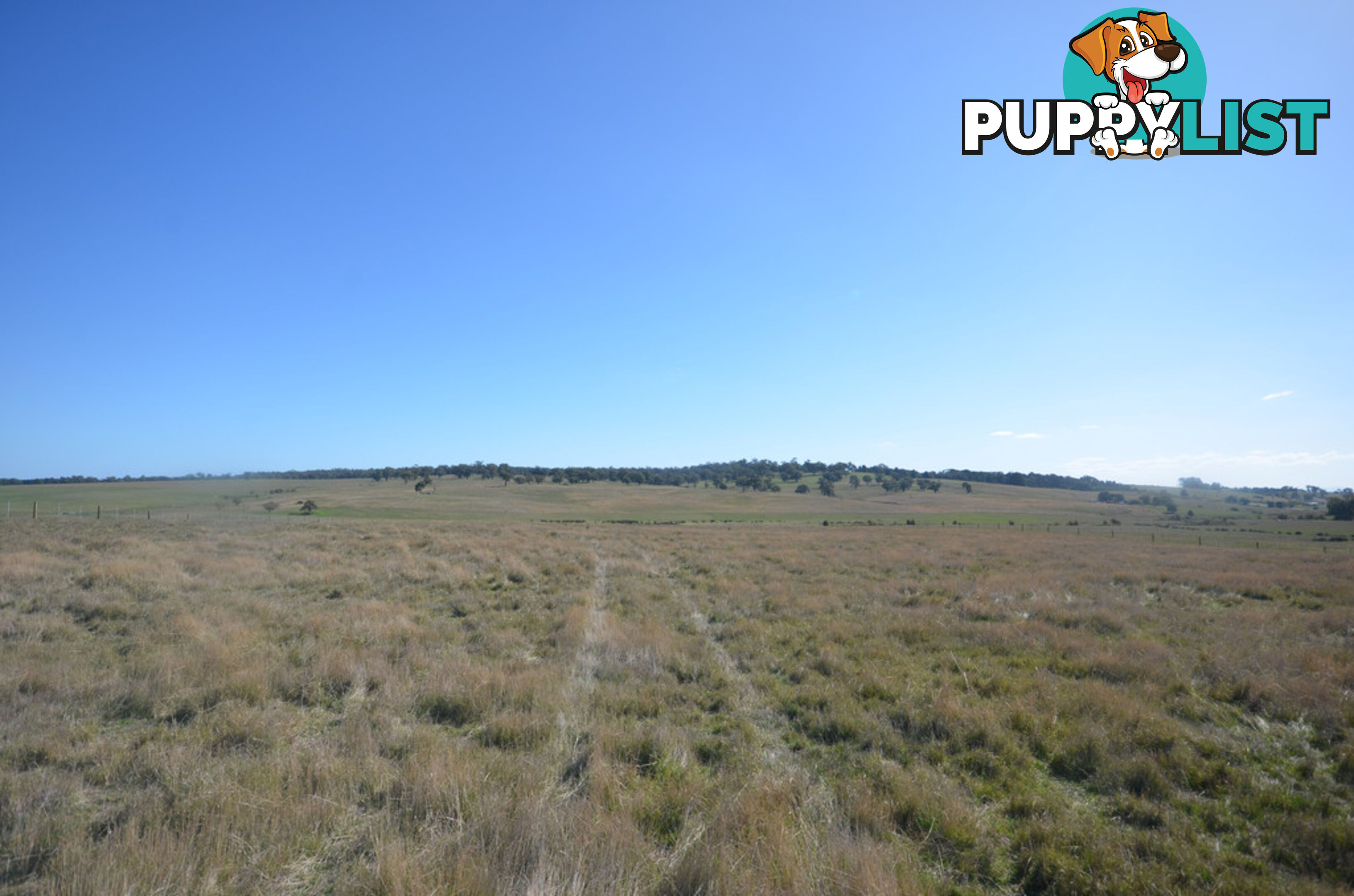Lot 1 Linton-Carngham Road CARNGHAM VIC 3351