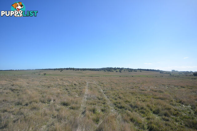 Lot 1 Linton-Carngham Road CARNGHAM VIC 3351