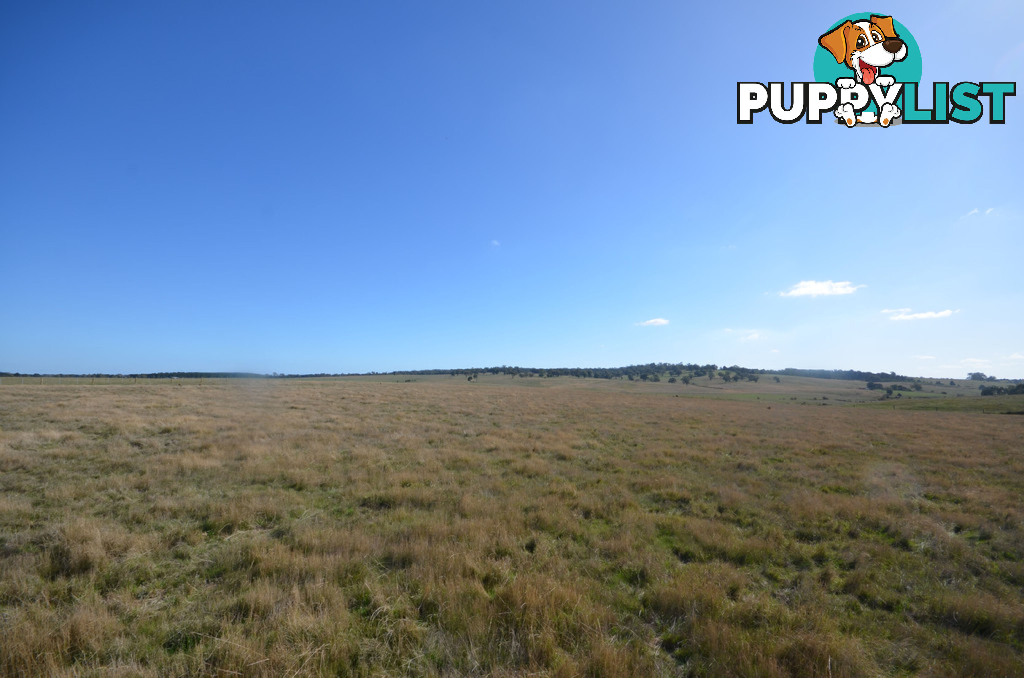 Lot 1 Linton-Carngham Road CARNGHAM VIC 3351
