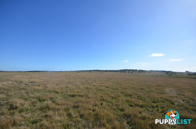 Lot 1 Linton-Carngham Road CARNGHAM VIC 3351