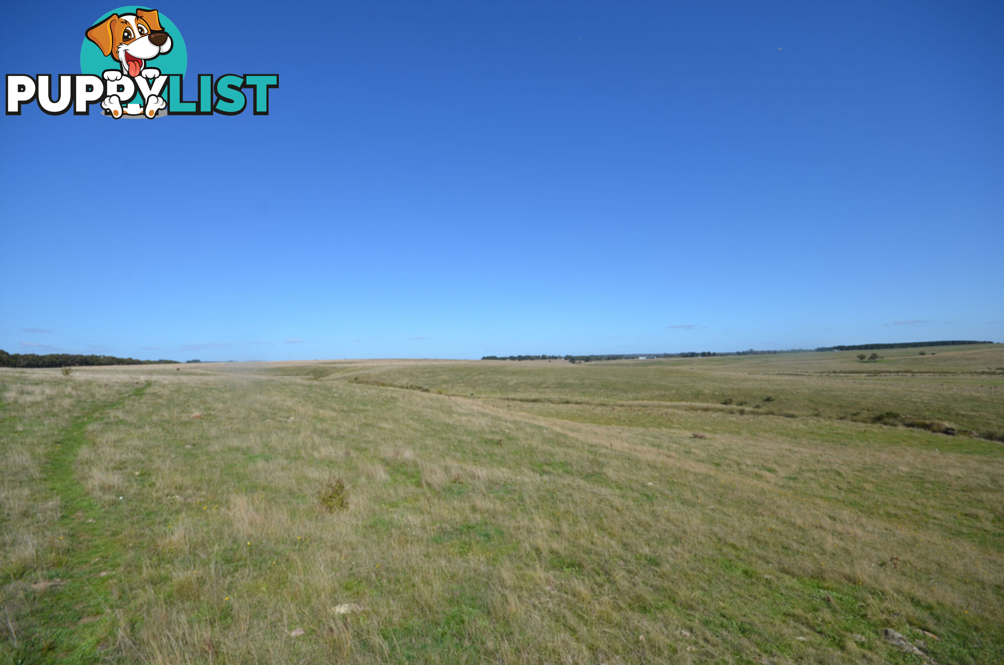 Lot 1 Linton-Carngham Road CARNGHAM VIC 3351
