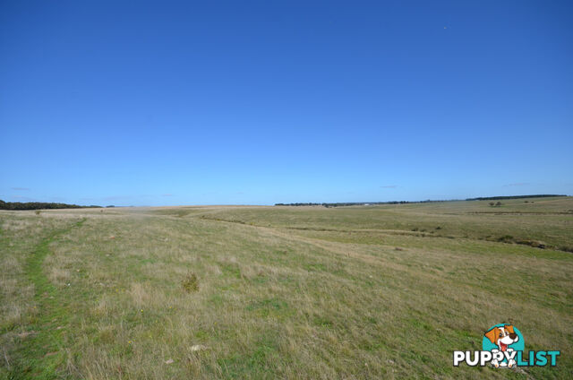 Lot 1 Linton-Carngham Road CARNGHAM VIC 3351