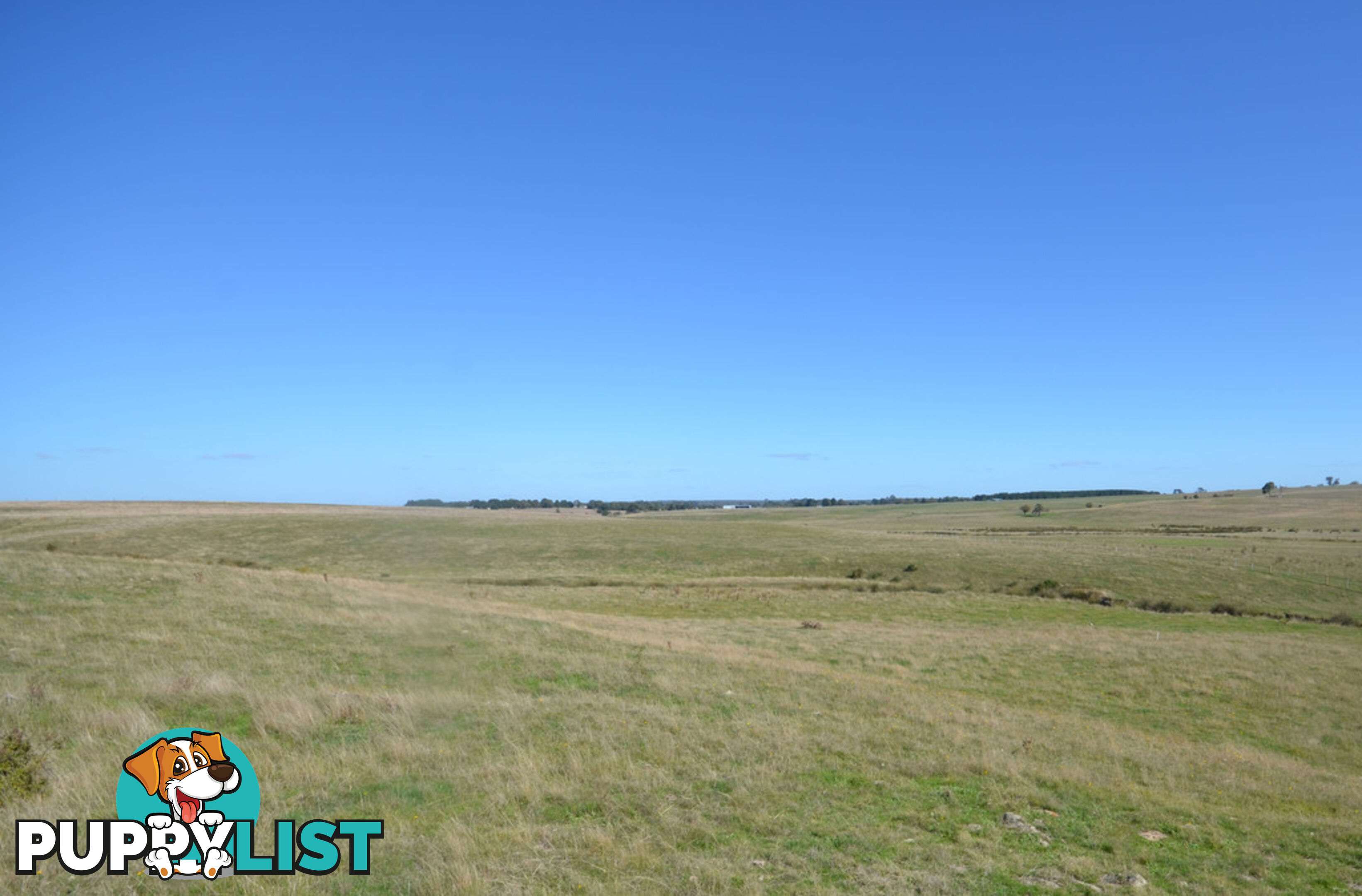 Lot 1 Linton-Carngham Road CARNGHAM VIC 3351