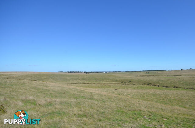 Lot 1 Linton-Carngham Road CARNGHAM VIC 3351