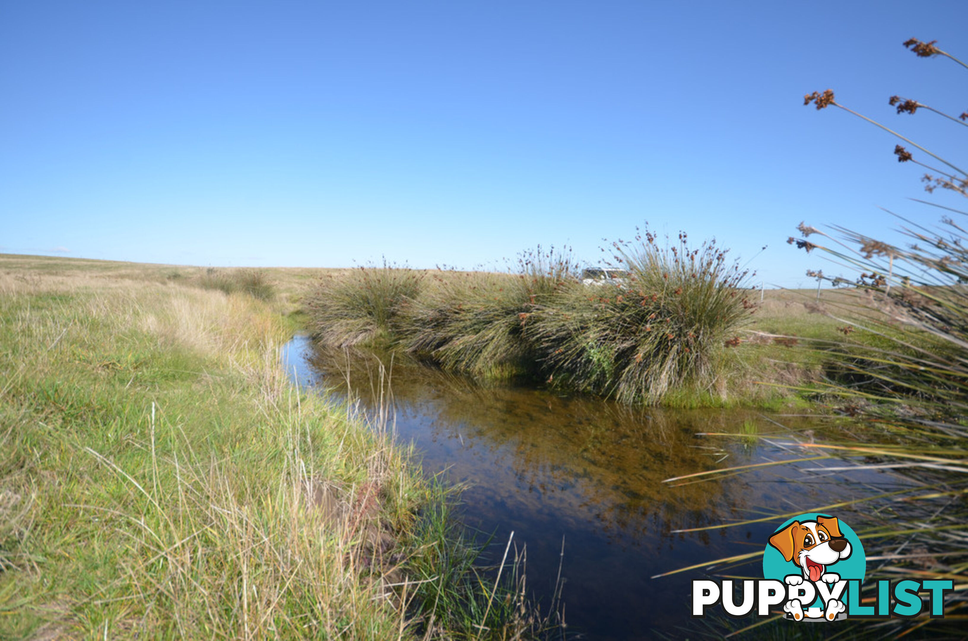 Lot 1 Linton-Carngham Road CARNGHAM VIC 3351