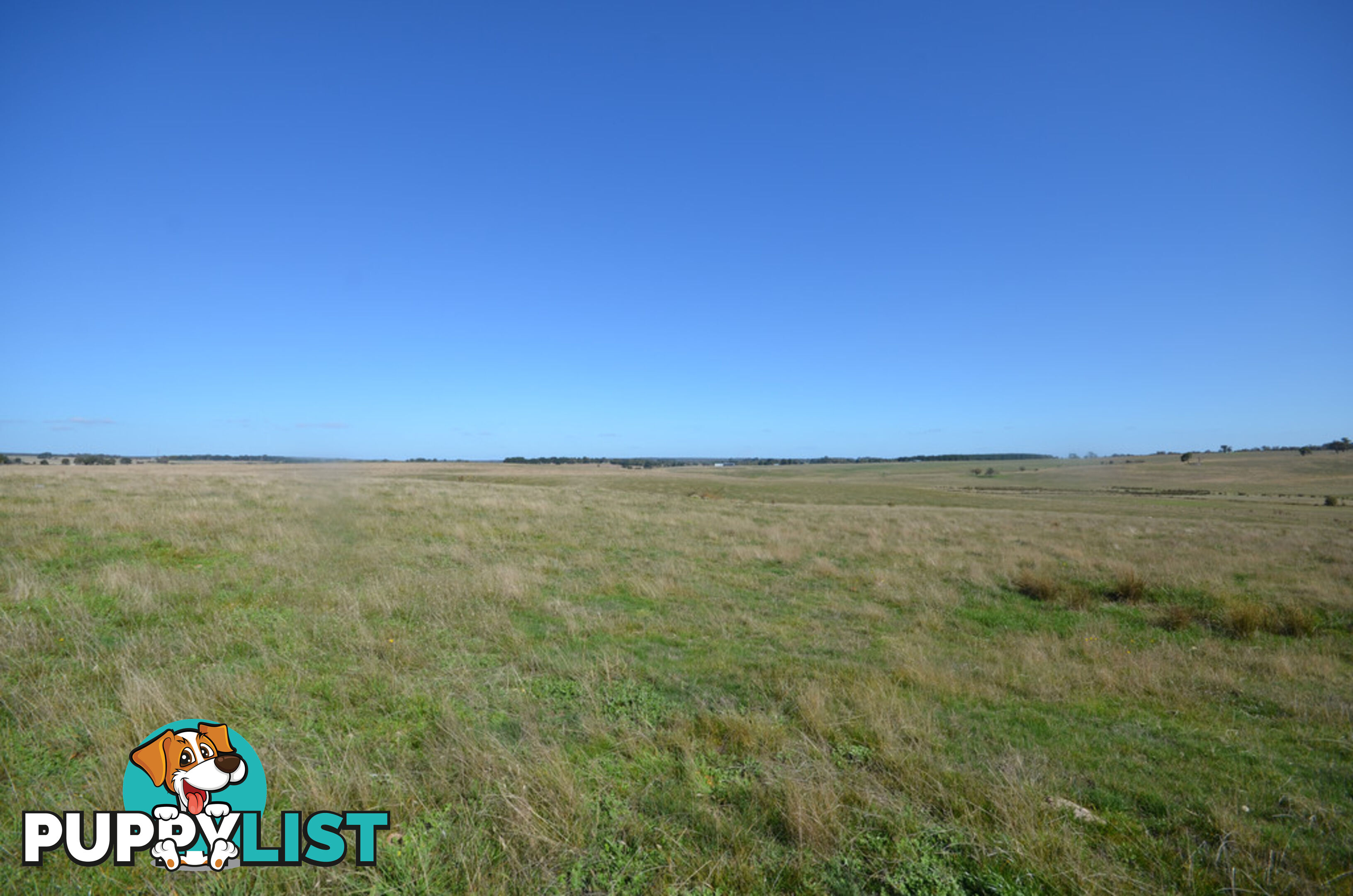 Lot 1 Linton-Carngham Road CARNGHAM VIC 3351