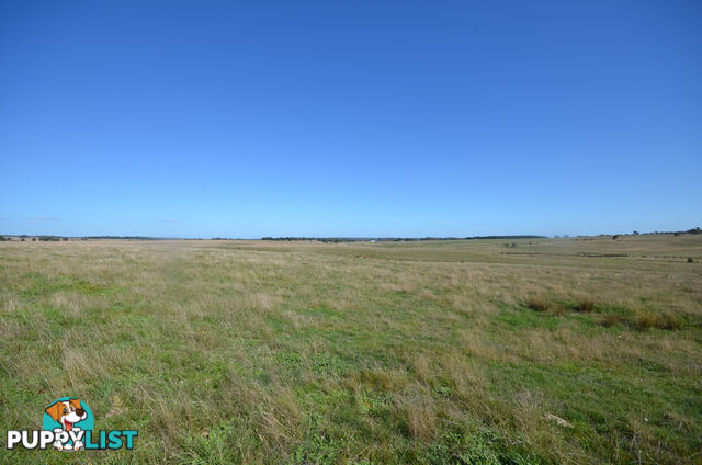 Lot 1 Linton-Carngham Road CARNGHAM VIC 3351