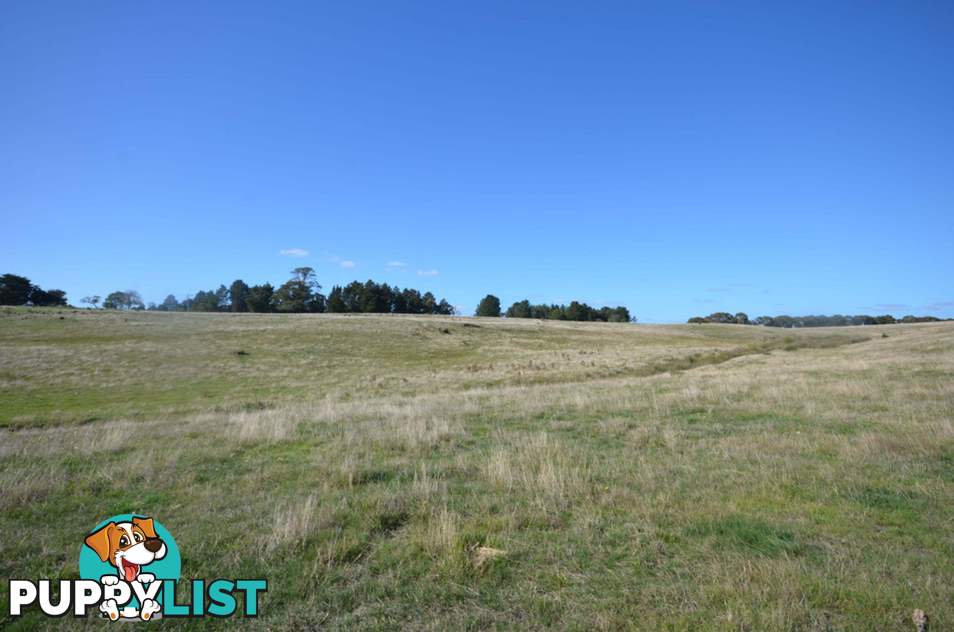 Lot 1 Linton-Carngham Road CARNGHAM VIC 3351