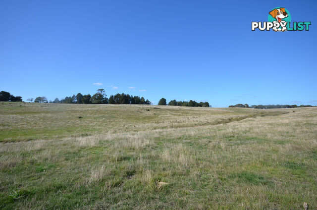 Lot 1 Linton-Carngham Road CARNGHAM VIC 3351