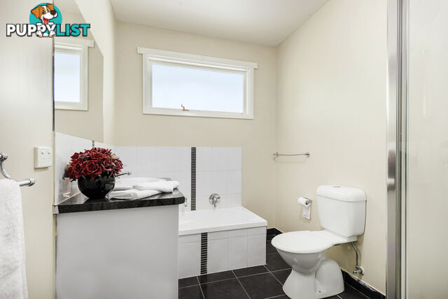 1115 Armstrong Street North BALLARAT NORTH VIC 3350