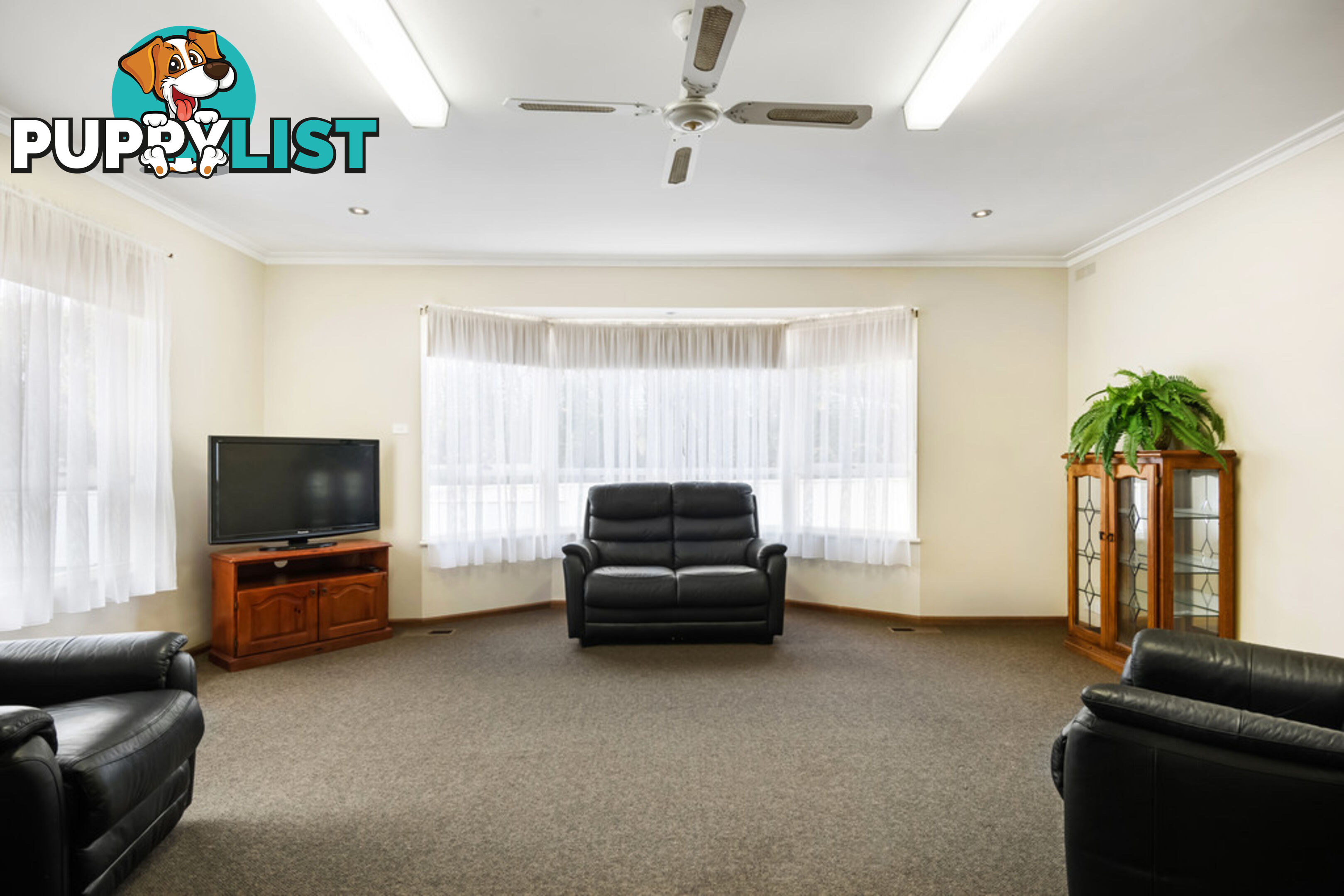 1115 Armstrong Street North BALLARAT NORTH VIC 3350