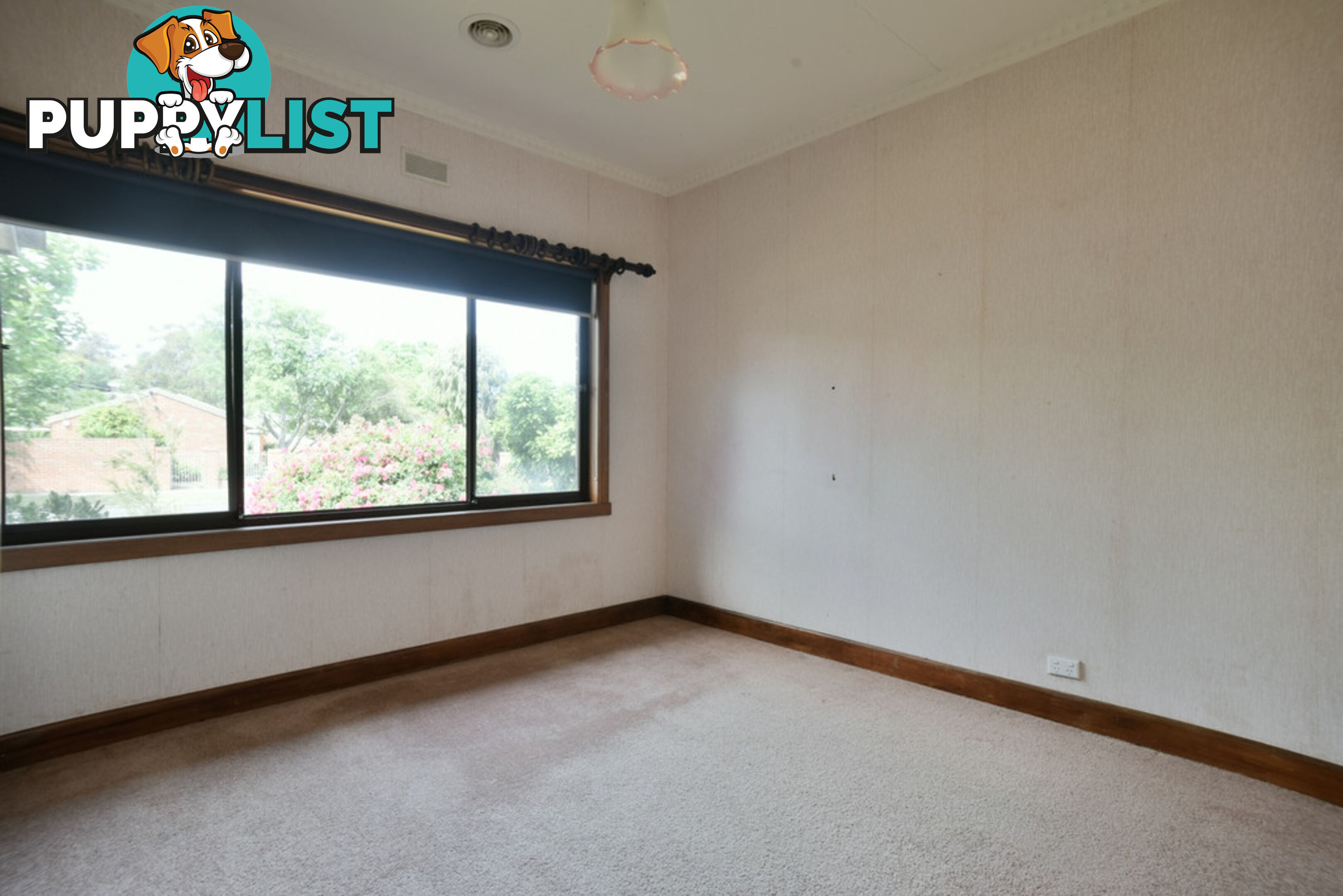 523 York Street BALLARAT EAST VIC 3350