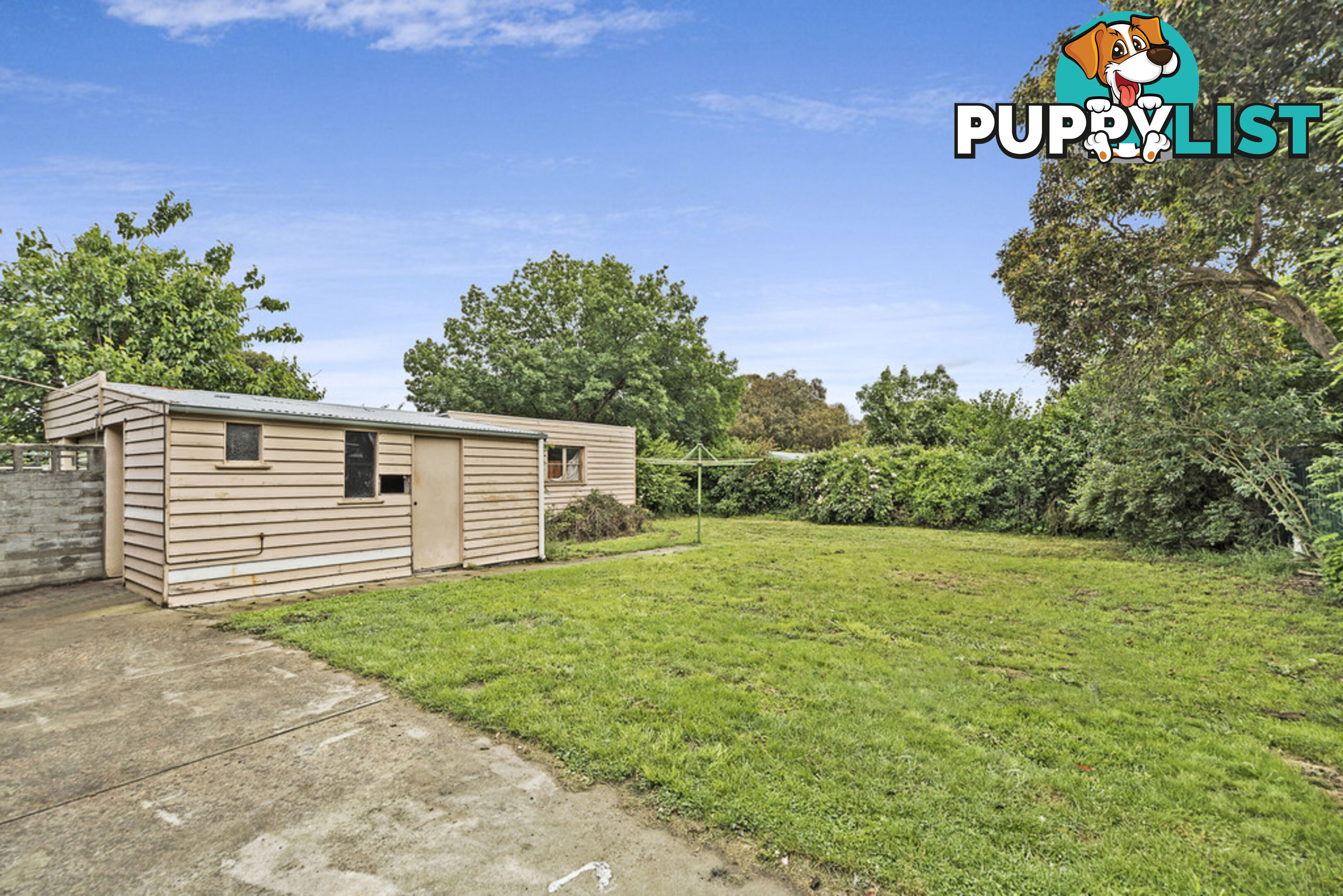 523 York Street BALLARAT EAST VIC 3350
