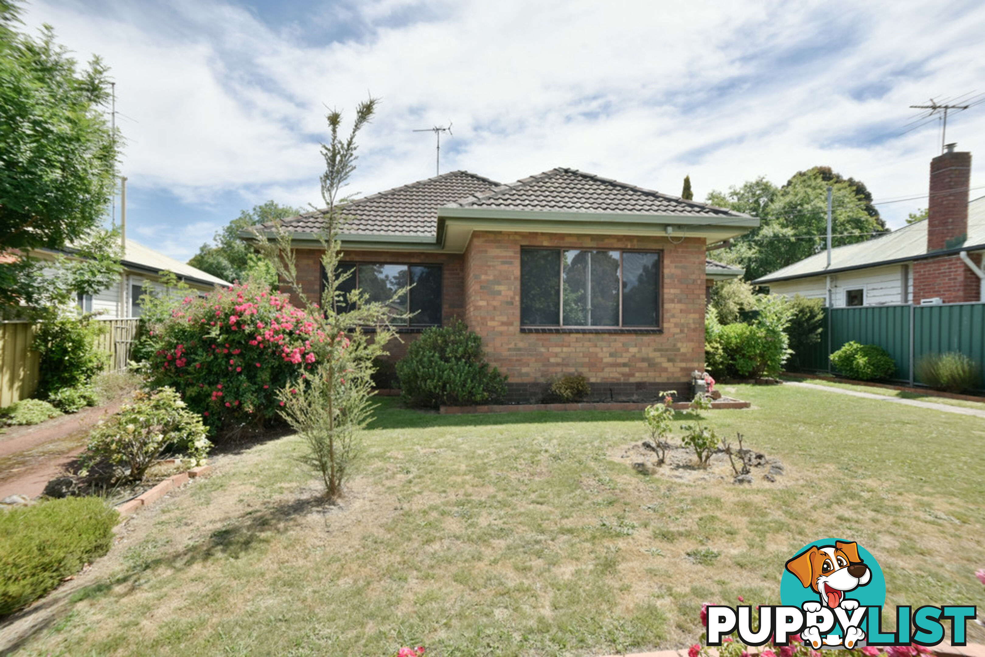 523 York Street BALLARAT EAST VIC 3350