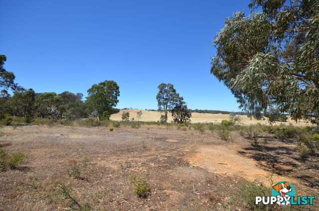 116 Moonambel-Natte Yallock Road MOONAMBEL VIC 3478