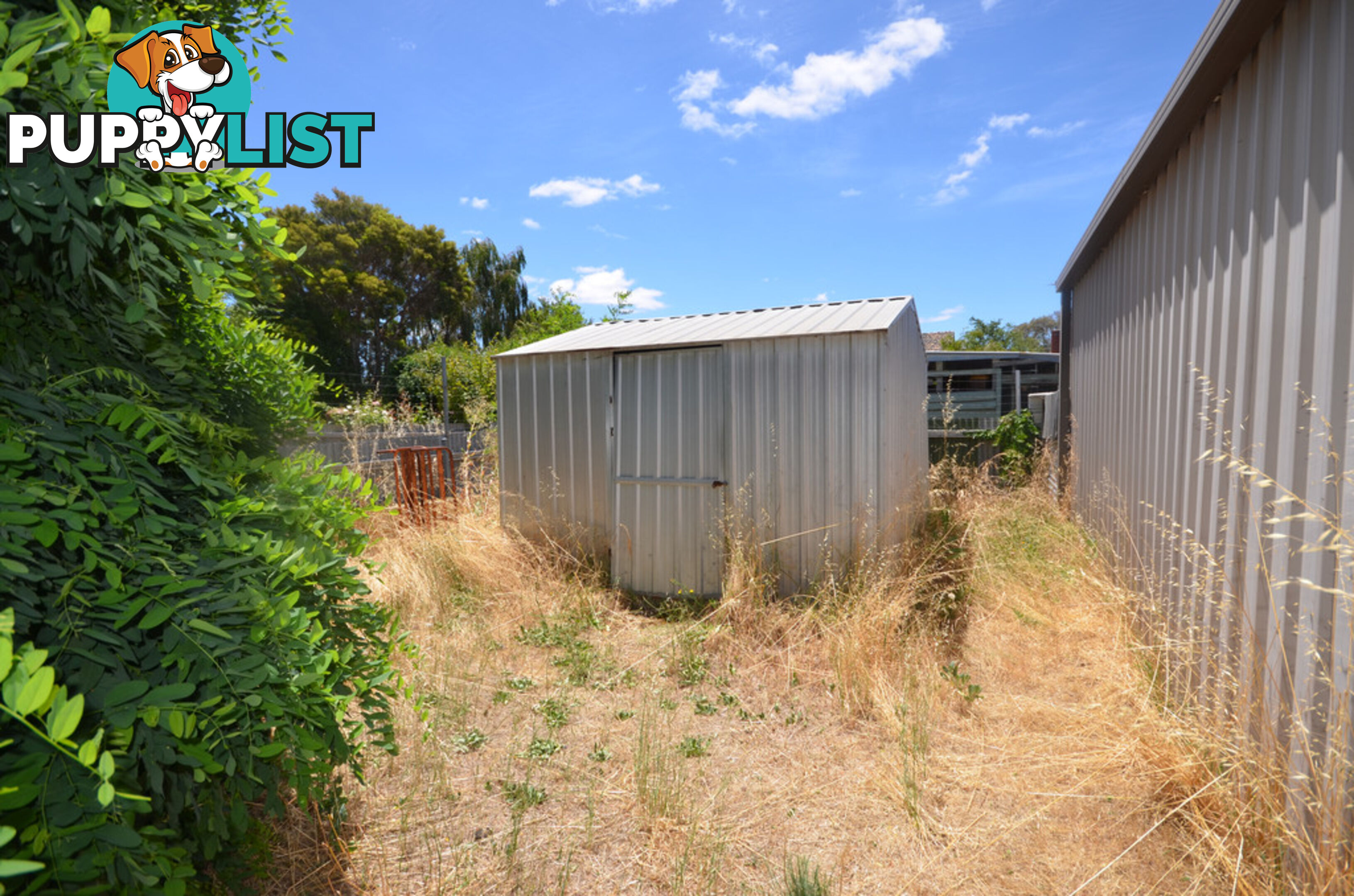 6 Mill Street ST ARNAUD VIC 3478