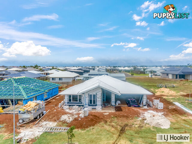 13 Ambrym Street BARGARA QLD 4670