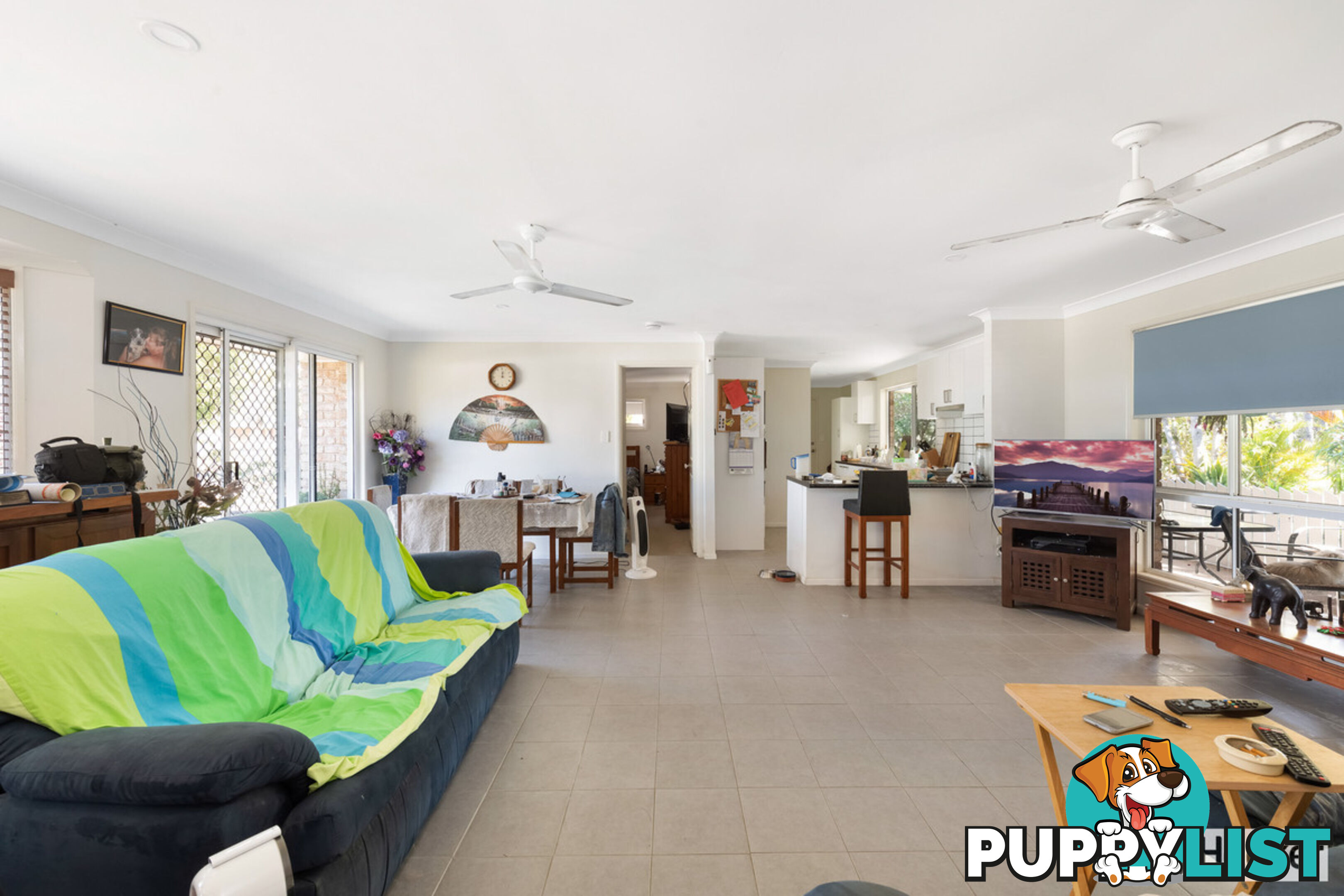 1 Elfin Court MOORE PARK BEACH QLD 4670