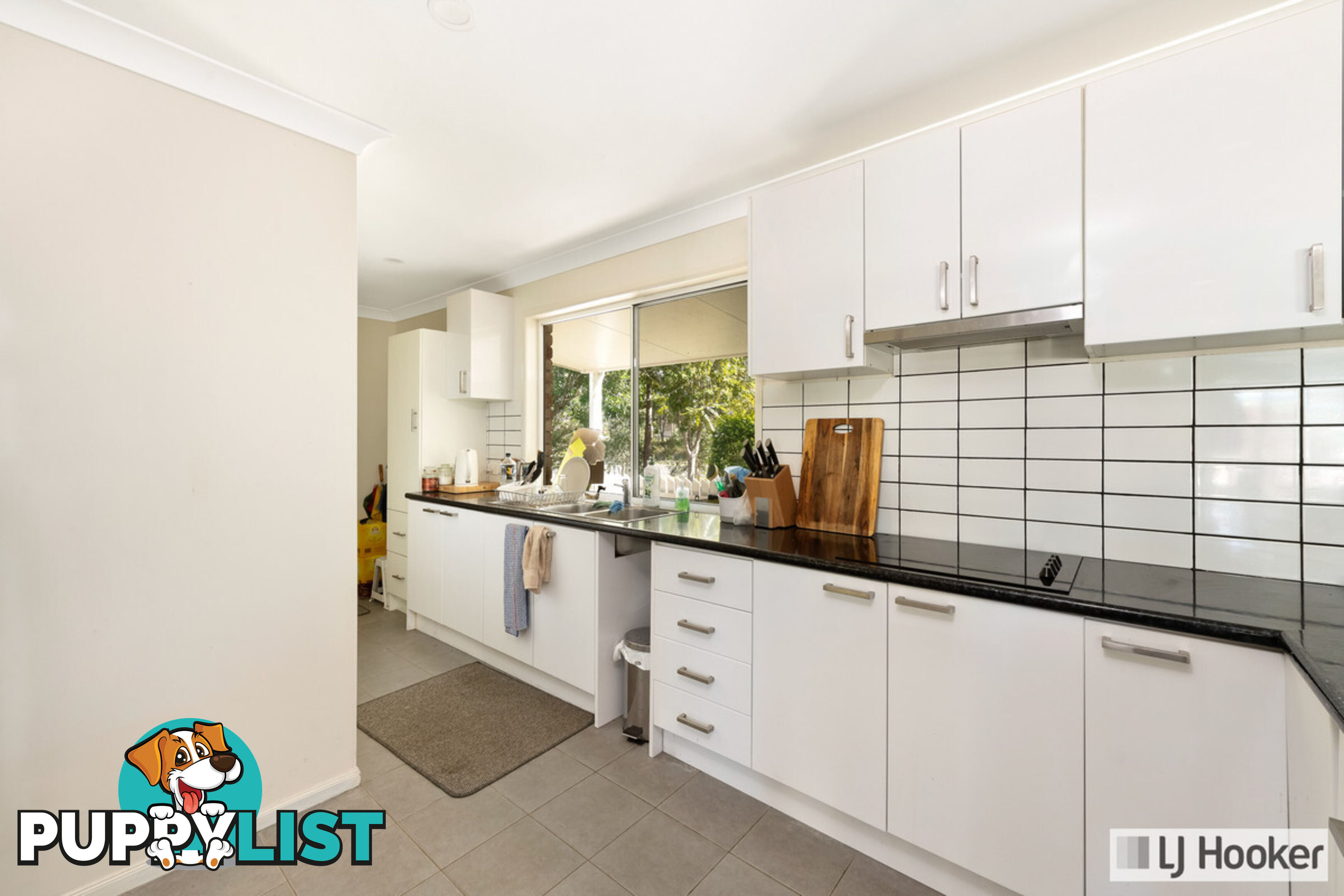 1 Elfin Court MOORE PARK BEACH QLD 4670