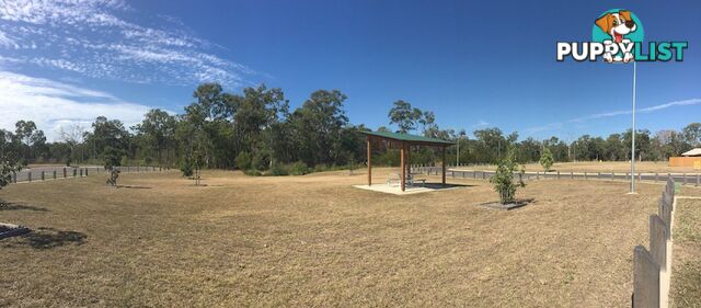 Lot 17 Branyan By The River BRANYAN QLD 4670