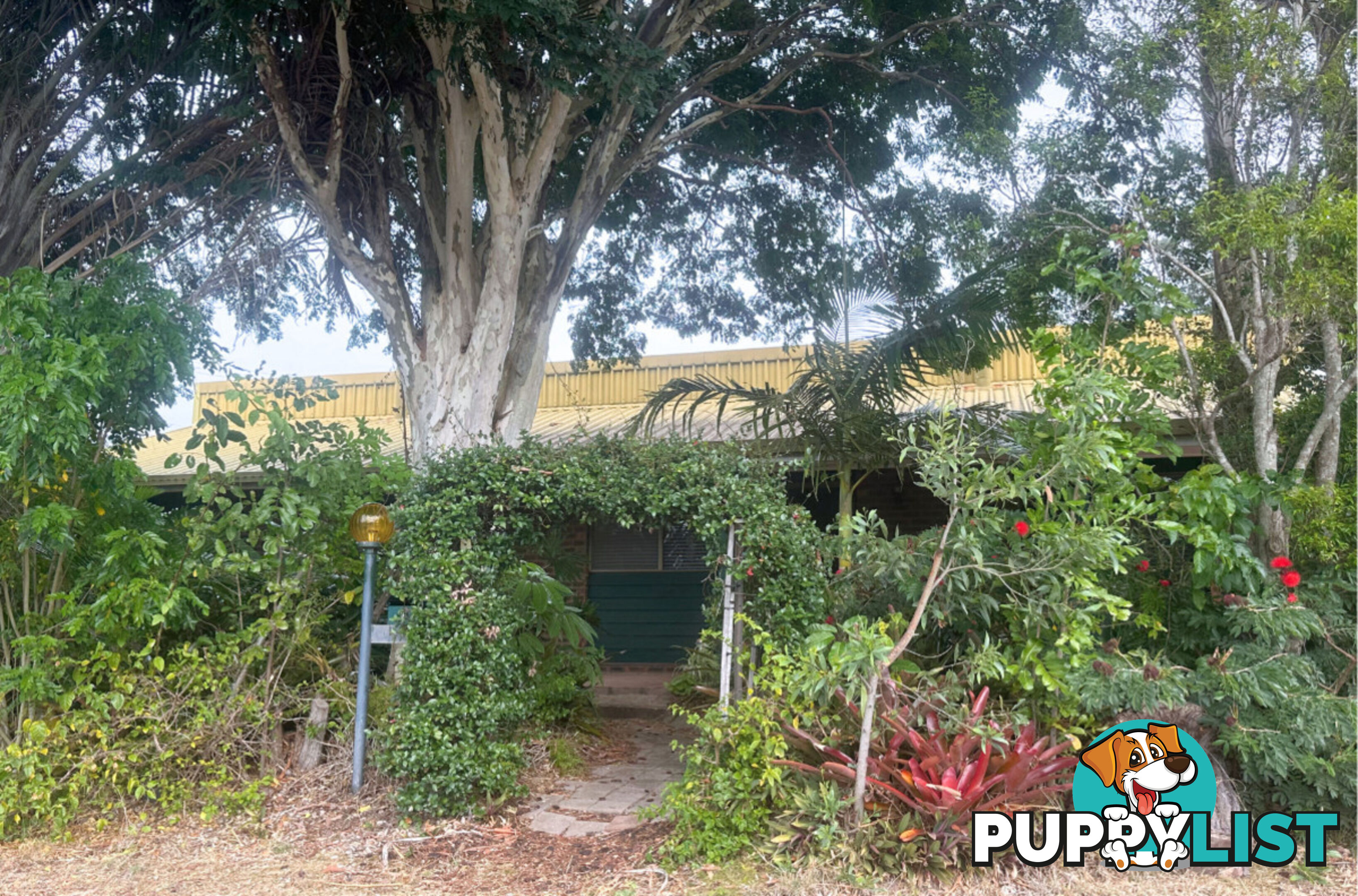 3 McLucas Street AVOCA QLD 4670