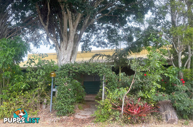 3 McLucas Street AVOCA QLD 4670