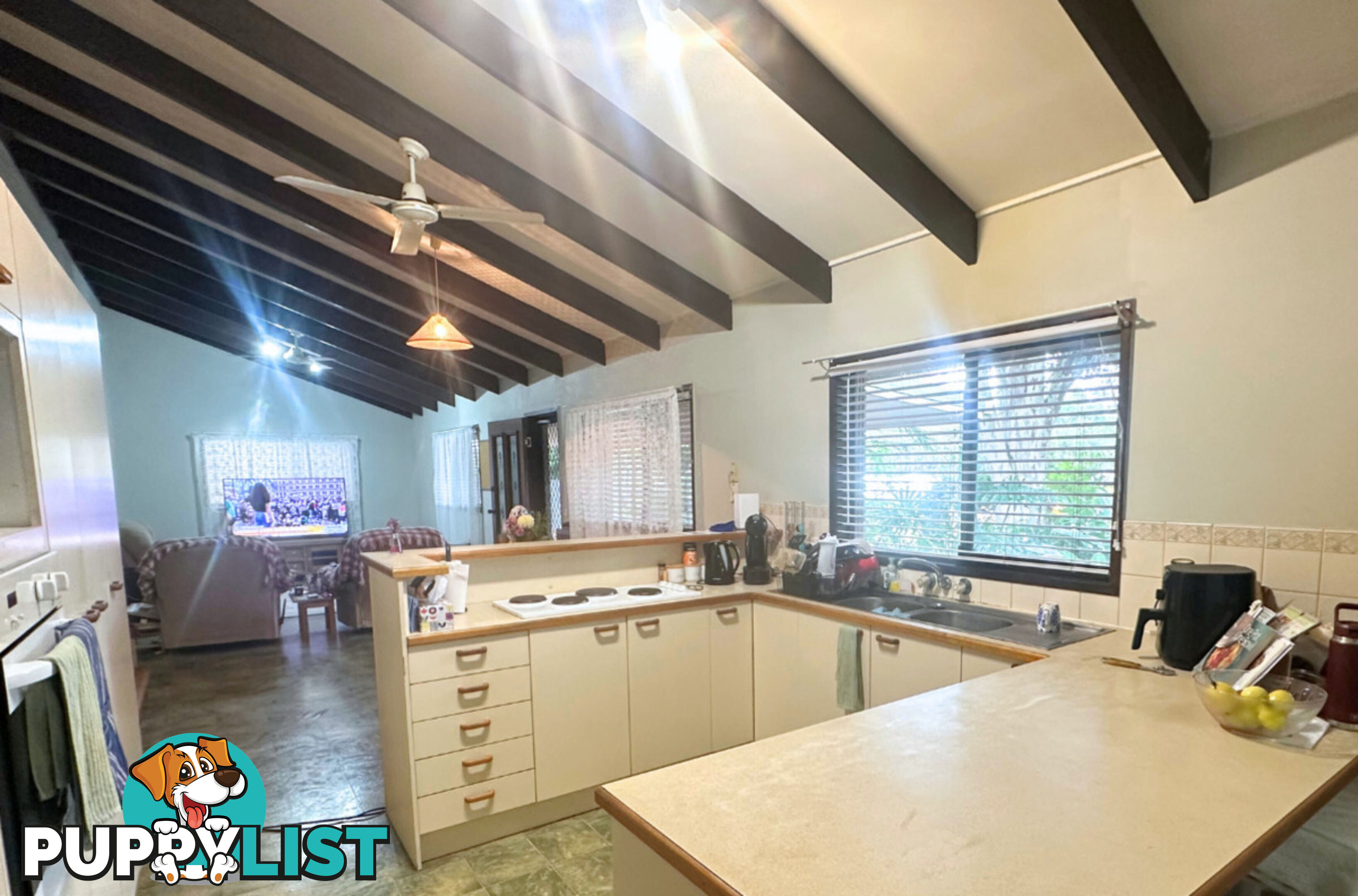 3 McLucas Street AVOCA QLD 4670