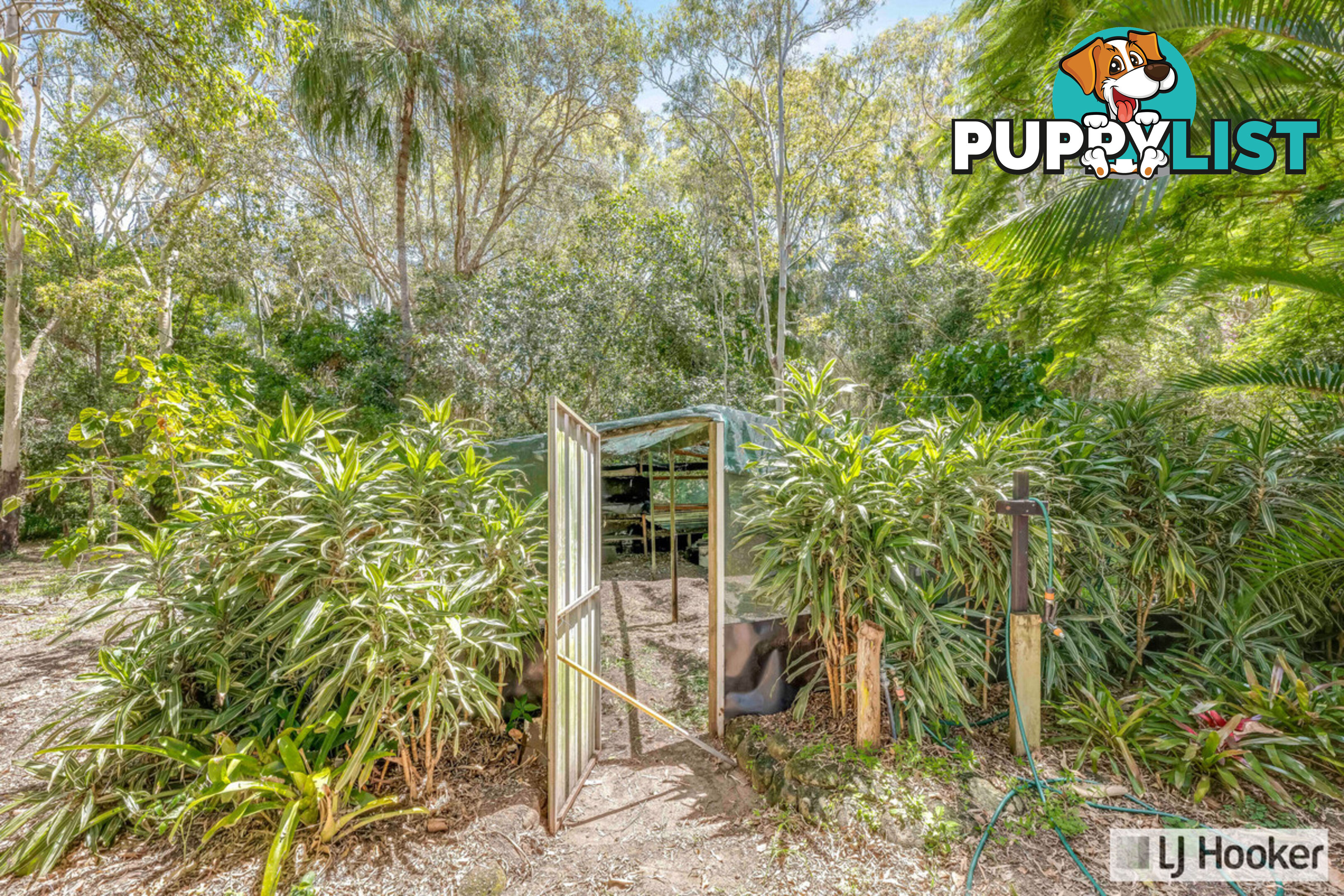 9 Plum Tree Crescent MOORE PARK BEACH QLD 4670